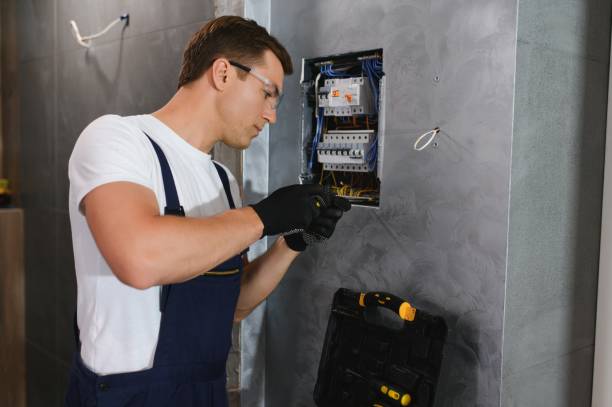 Best Affordable Electrician  in Hornsby Bend, TX